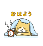 おとな茶白ねこ（個別スタンプ：1）