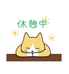 おとな茶白ねこ（個別スタンプ：16）