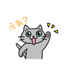 猫観察えにっき・ロシアンブルー第3弾（個別スタンプ：1）