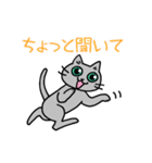 猫観察えにっき・ロシアンブルー第3弾（個別スタンプ：4）