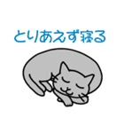 猫観察えにっき・ロシアンブルー第3弾（個別スタンプ：23）