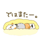 にゃんこまみれ。（個別スタンプ：40）