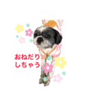 騎士＆小雪の日常スタンプ（個別スタンプ：3）