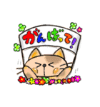 幸せにゃんこ達の日常スタンプ（個別スタンプ：10）