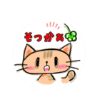 幸せにゃんこ達の日常スタンプ（個別スタンプ：28）