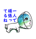 犬(ワン)クリック（個別スタンプ：23）