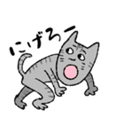 猫ねこネコneko（個別スタンプ：10）