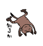 猫ねこネコneko（個別スタンプ：11）