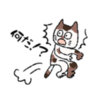 猫ねこネコneko（個別スタンプ：13）