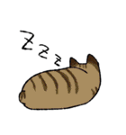 猫ねこネコneko（個別スタンプ：23）