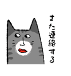 猫ねこネコneko（個別スタンプ：24）