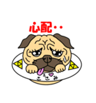 パグUFO＆シバUFO（個別スタンプ：16）