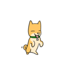 忠犬ラキ公（個別スタンプ：1）