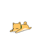 忠犬ラキ公（個別スタンプ：3）