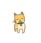 忠犬ラキ公（個別スタンプ：4）
