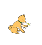 忠犬ラキ公（個別スタンプ：5）