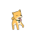 忠犬ラキ公（個別スタンプ：8）