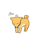忠犬ラキ公（個別スタンプ：9）