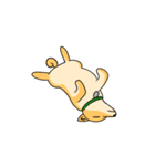 忠犬ラキ公（個別スタンプ：10）