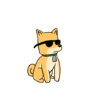 忠犬ラキ公（個別スタンプ：11）