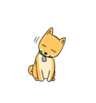 忠犬ラキ公（個別スタンプ：12）