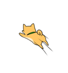 忠犬ラキ公（個別スタンプ：13）