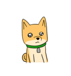 忠犬ラキ公（個別スタンプ：15）