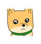 忠犬ラキ公（個別スタンプ：16）