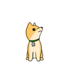 忠犬ラキ公（個別スタンプ：19）