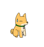 忠犬ラキ公（個別スタンプ：20）