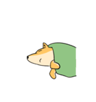 忠犬ラキ公（個別スタンプ：22）