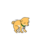 忠犬ラキ公（個別スタンプ：23）