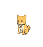 忠犬ラキ公（個別スタンプ：24）