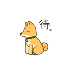 忠犬ラキ公（個別スタンプ：30）