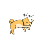 忠犬ラキ公（個別スタンプ：31）