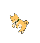 忠犬ラキ公（個別スタンプ：33）