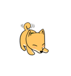 忠犬ラキ公（個別スタンプ：34）