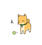 忠犬ラキ公（個別スタンプ：35）