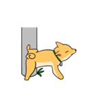 忠犬ラキ公（個別スタンプ：36）