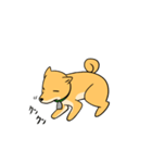 忠犬ラキ公（個別スタンプ：37）
