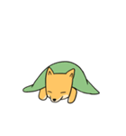 忠犬ラキ公（個別スタンプ：39）