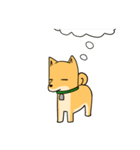忠犬ラキ公（個別スタンプ：40）