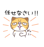 ブサねこ寅さん（個別スタンプ：5）