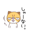 ブサねこ寅さん（個別スタンプ：6）