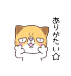 ブサねこ寅さん（個別スタンプ：24）