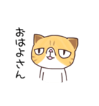 ブサねこ寅さん（個別スタンプ：39）