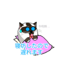 ラテさんとクーさん 3（個別スタンプ：17）