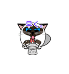 ラテさんとクーさん 3（個別スタンプ：20）