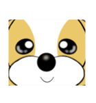 表情豊かなシーズー犬（個別スタンプ：9）