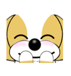 表情豊かなシーズー犬（個別スタンプ：10）